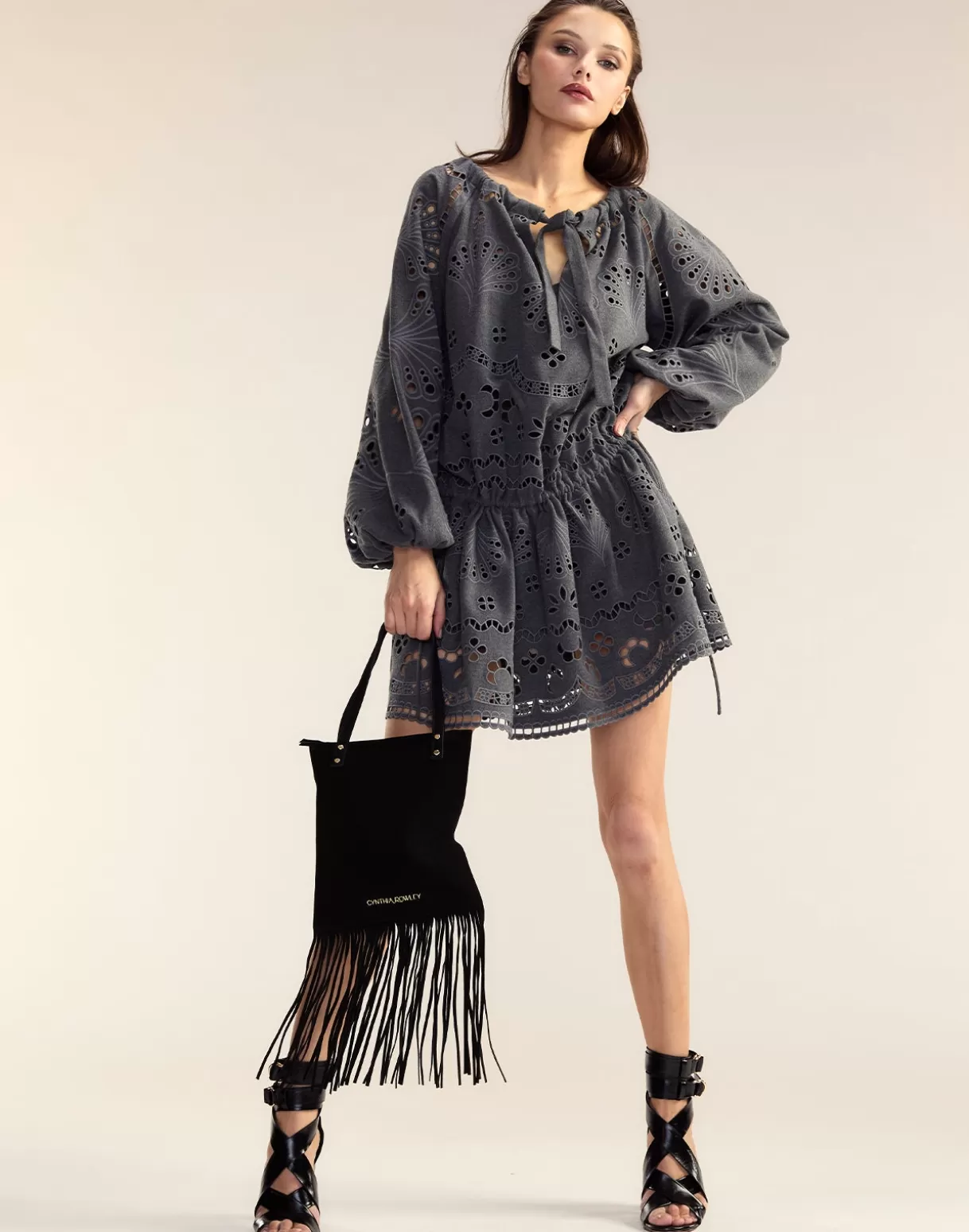 Dresses-Cynthia Rowley Wellesley Embroidered Dress HGREY